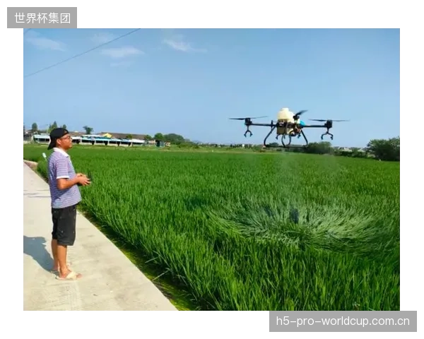 返乡的“乡贤”与“新农人”是盘活乡村体育的关键力量，但他们真的具备职业化的体育产业运营能力吗？